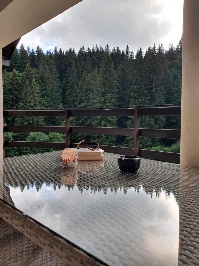 Apartament Ozon Poiana Brasov Εξωτερικό φωτογραφία