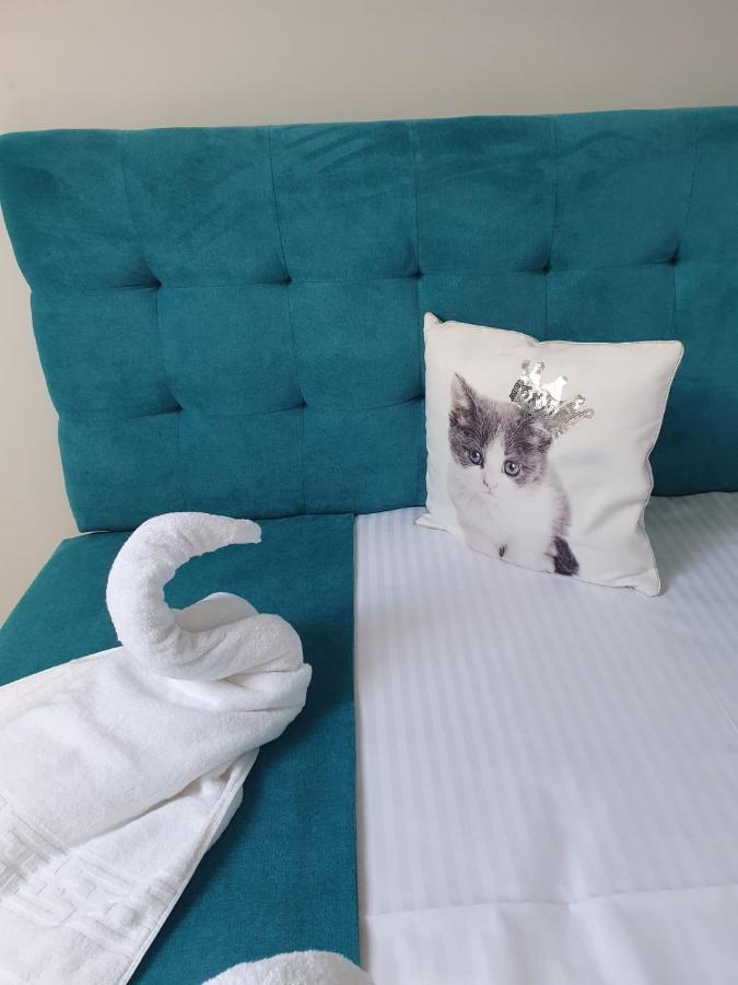 Apartament Ozon Poiana Brasov Εξωτερικό φωτογραφία
