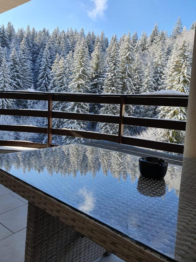 Apartament Ozon Poiana Brasov Εξωτερικό φωτογραφία