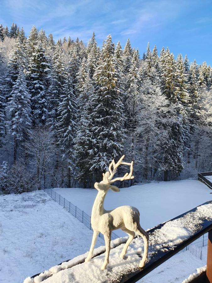 Apartament Ozon Poiana Brasov Εξωτερικό φωτογραφία
